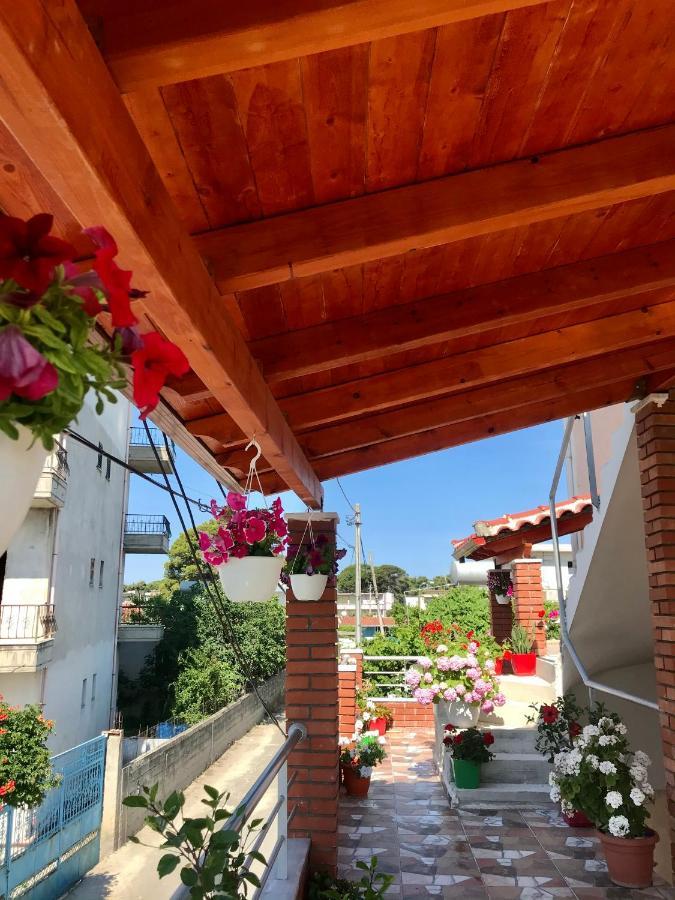 Vila Arlind 호텔 Vlorë 외부 사진